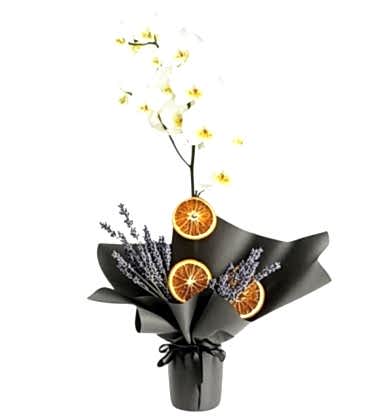 Black Tek Dal Beyaz Orkide