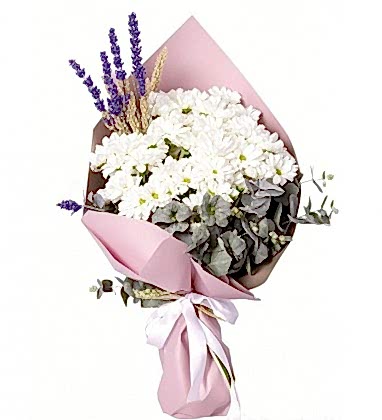 Beyaz Papatya Zarafeti